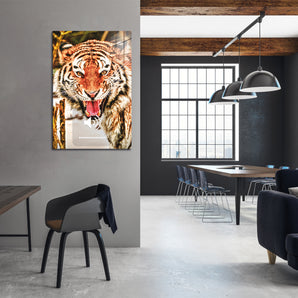 Glasbild - Tiger-scream