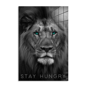 Glasbild - Stay Hungry - Lion