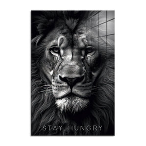 Glasbild - Stay Hungry - Proud Lion