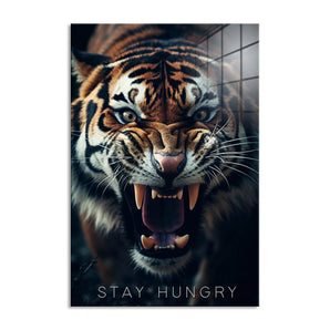 Glasbild - Stay Hungry - Tiger