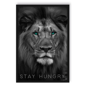 Poster im Rahmen - Stay Hungry - Lion